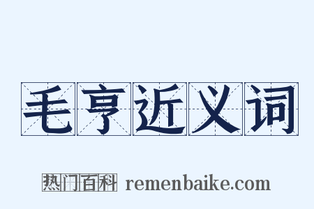 毛亨近义词是什么意思的图片